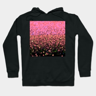 Sparkle and Glitter Pink Hoodie